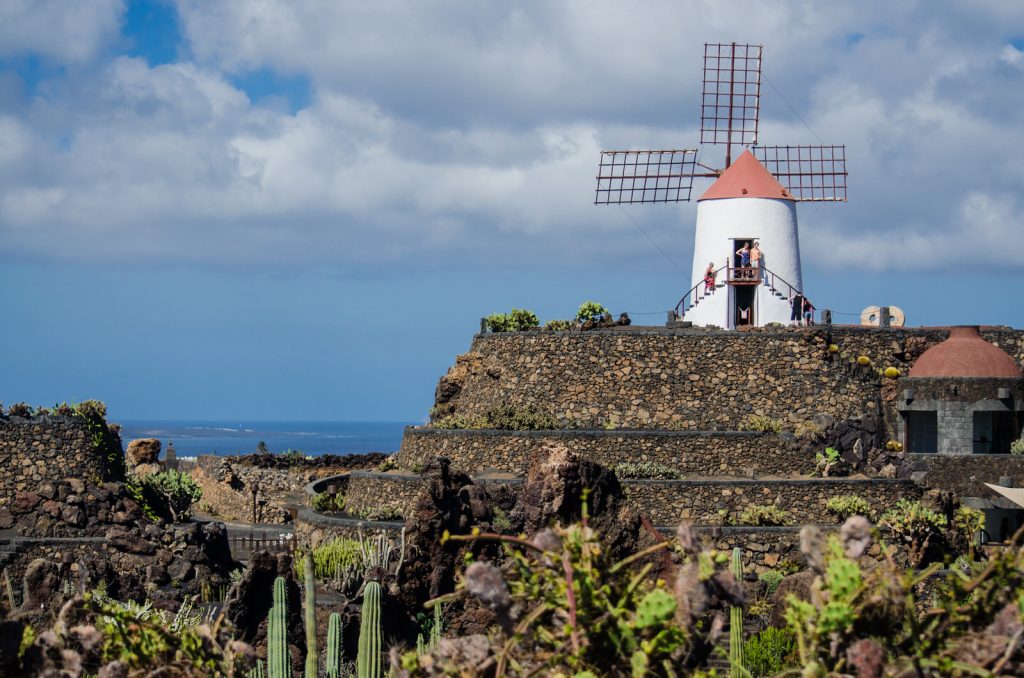 Kiwi The Explorer Lanzarote 1