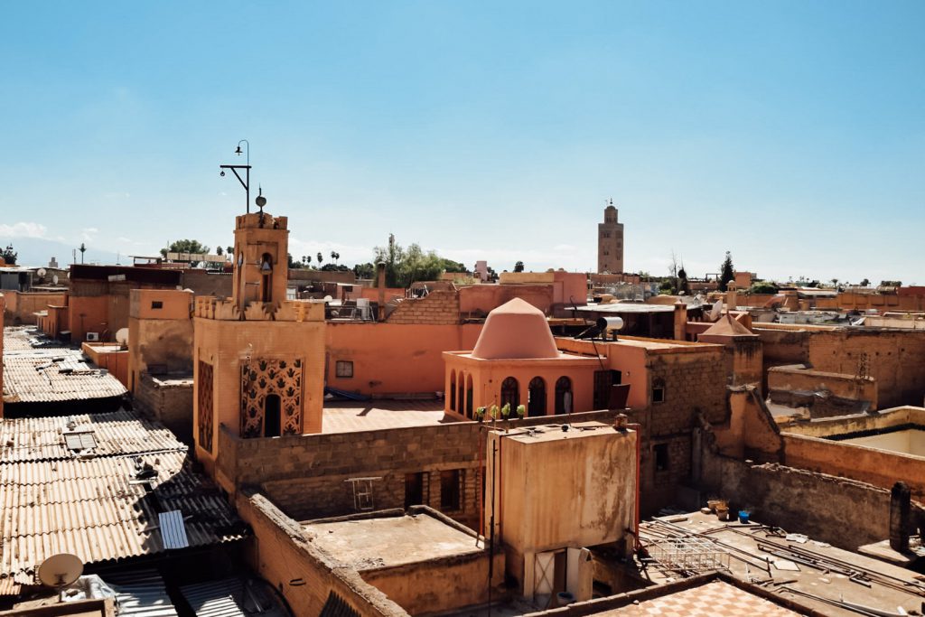 Kiwi The Explorer Beatrice Bono Marrakech Cosa Vedere 4