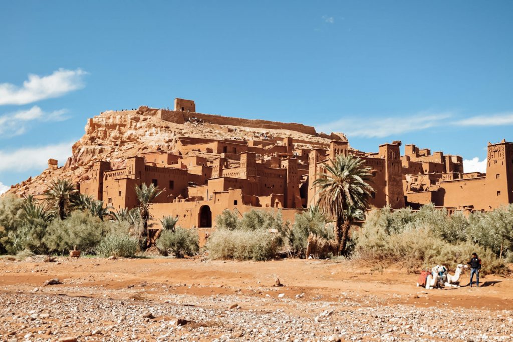 Kiwi The Explorer Beatrice Bono Marrakech Cosa Vedere 8