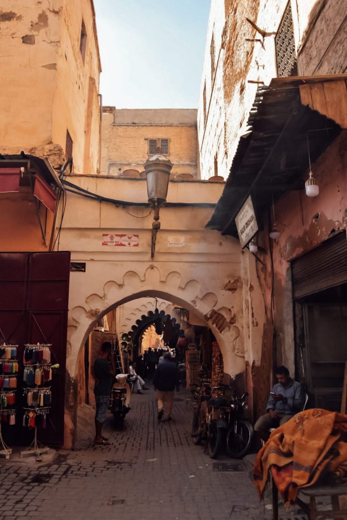 Kiwi The Explorer Beatrice Bono Marrakech Cosa Vedere 9