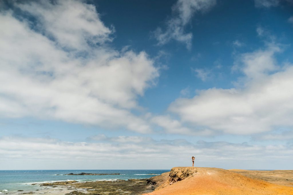 Kiwi The Explorer Fuerteventura Isola Africana E Tropicale In Europa 17