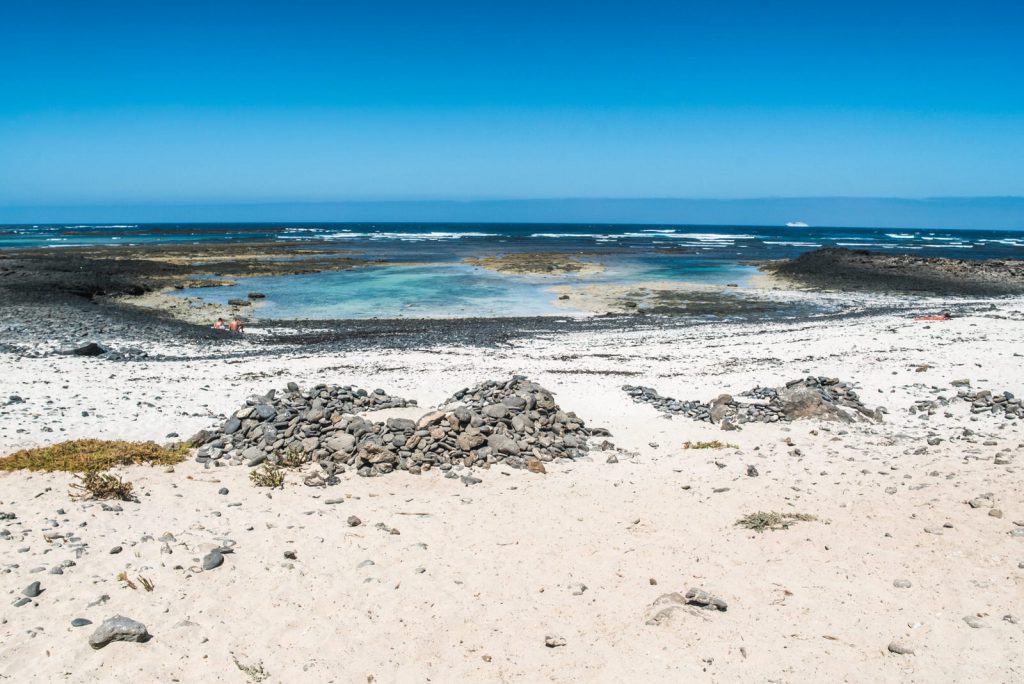 Kiwi The Explorer Fuerteventura Isola Africana E Tropicale In Europa 2