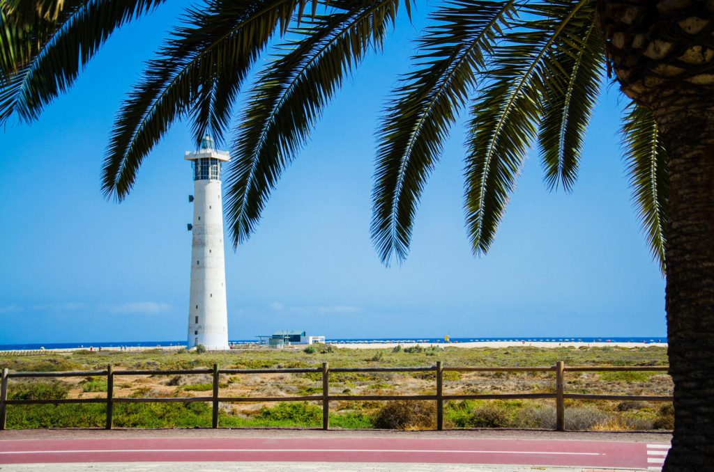 Kiwi The Explorer Fuerteventura Isola Africana E Tropicale In Europa 29