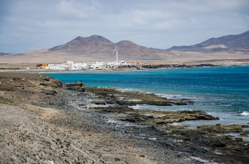 Kiwi The Explorer Fuerteventura Isola Africana E Tropicale In Europa 44