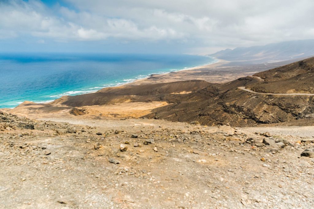 Kiwi The Explorer Fuerteventura Isola Africana E Tropicale In Europa 46