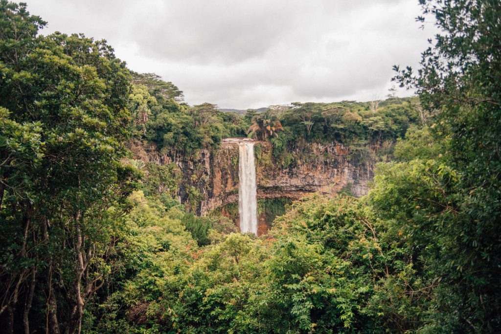 Kiwi The Explorer Mauritius Mappa 21