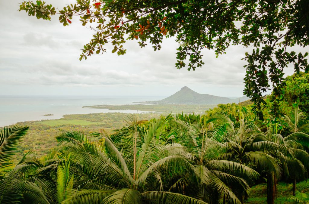 Kiwi The Explorer Mauritius Quando Andare 5