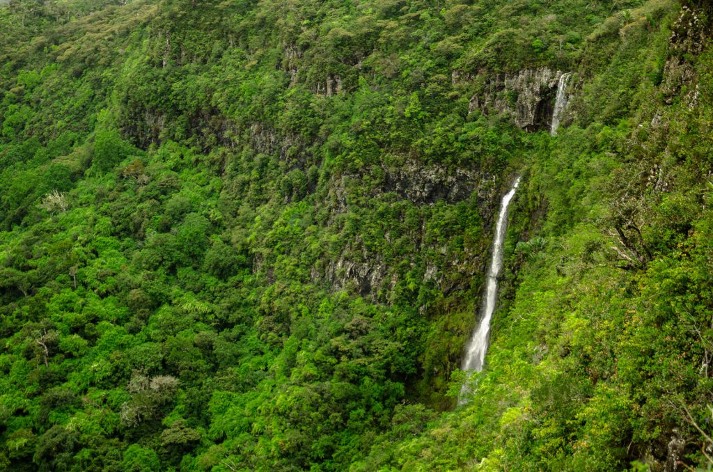 Kiwi The Explorer Mauritius Quando Andare 7