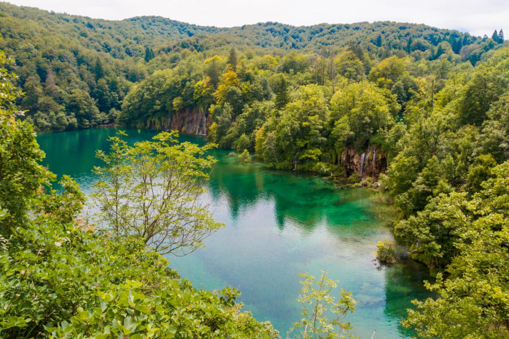 Kiwi The Explorer Parco Nazionale Dei Laghi Di Plitvice 2