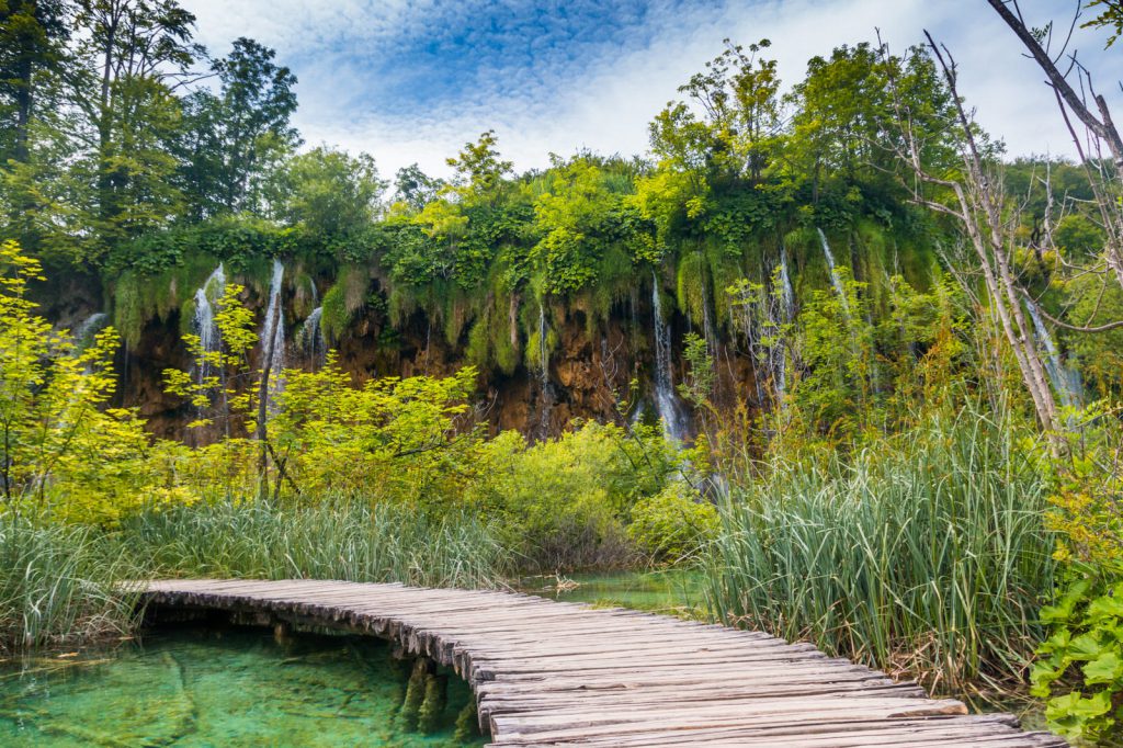 Kiwi The Explorer Parco Nazionale Dei Laghi Di Plitvice 4