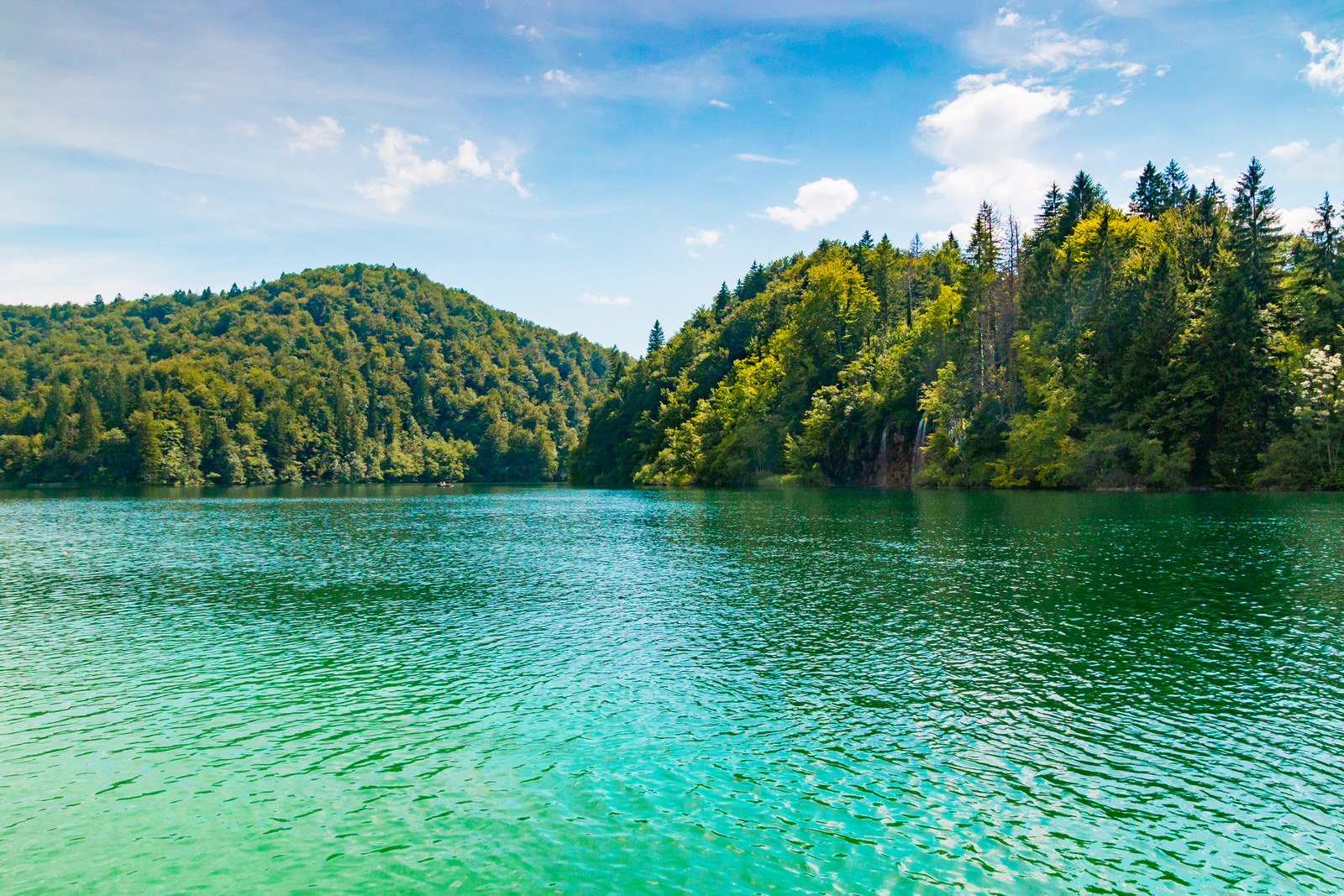 Kiwi The Explorer Parco Nazionale Dei Laghi Di Plitvice 8