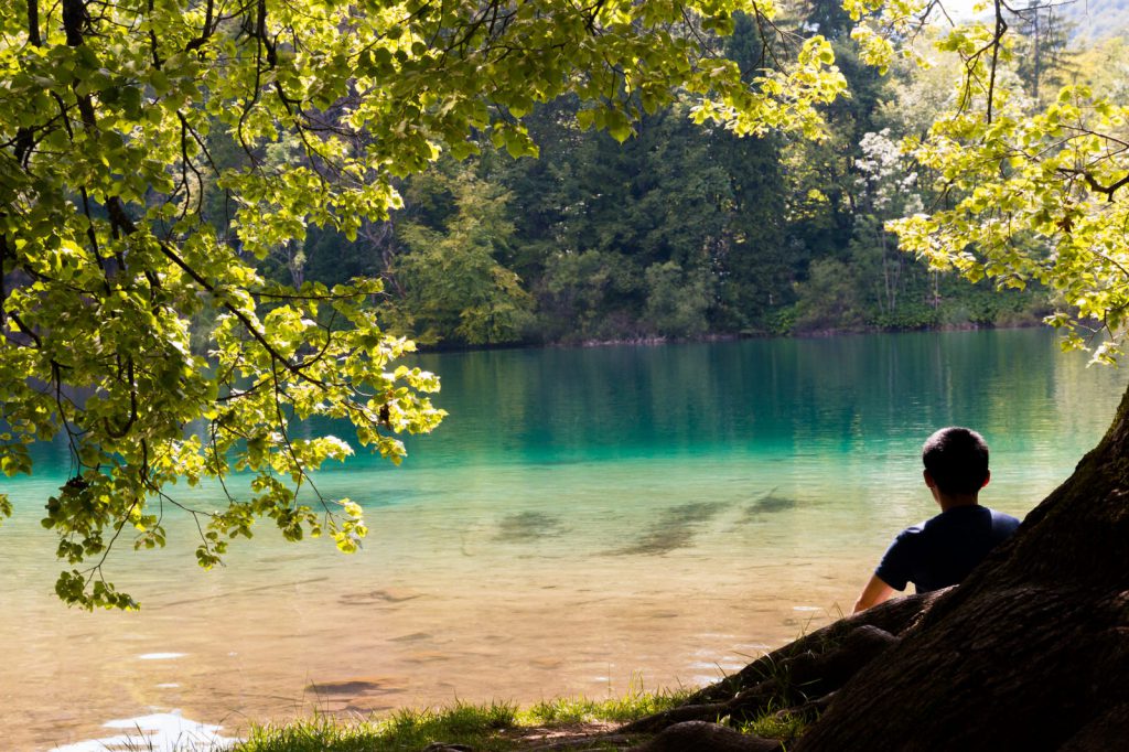 Kiwi The Explorer Parco Nazionale Dei Laghi Di Plitvice 8