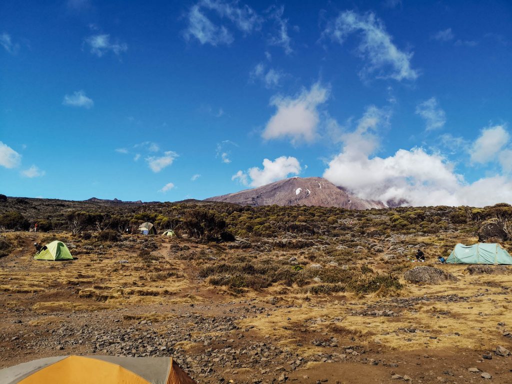 Kilimangiaro Marco Kiwi The Explorer