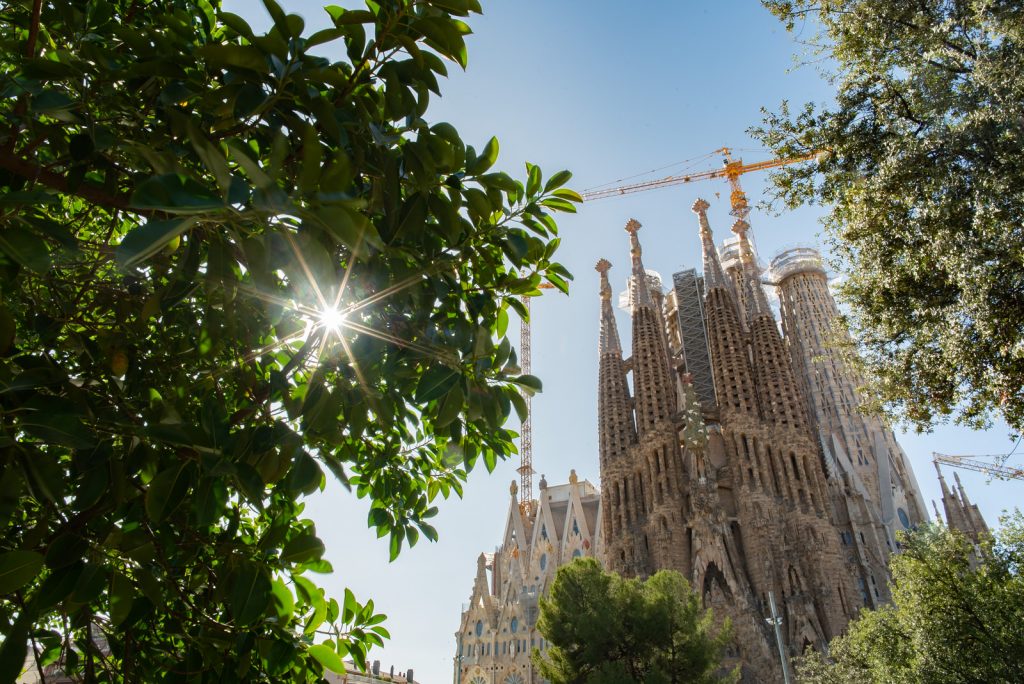 Barcellona Dall'alto - Kiwi The Explorer