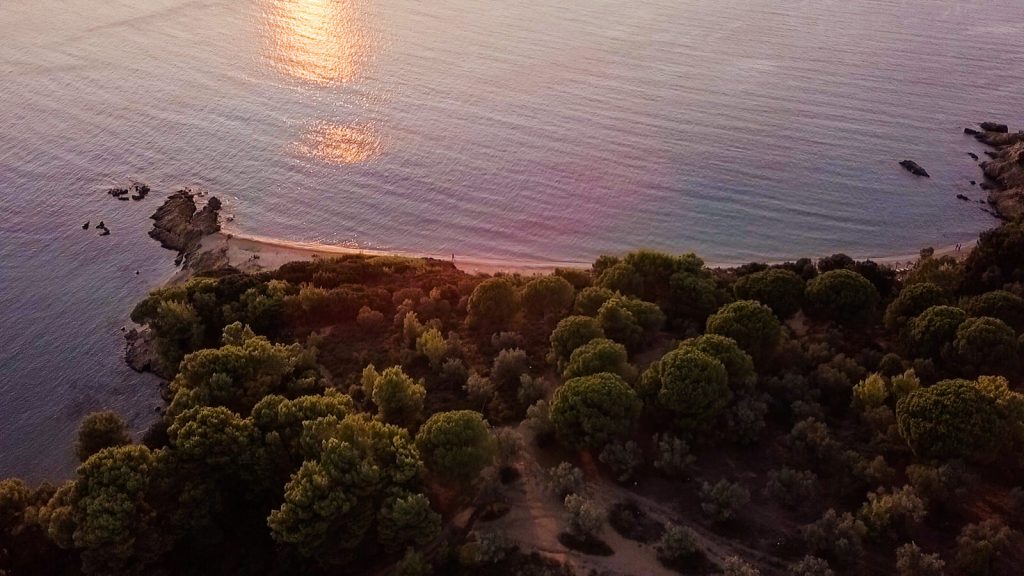 Kiwi The Explorer Skiathos Spiagge 11